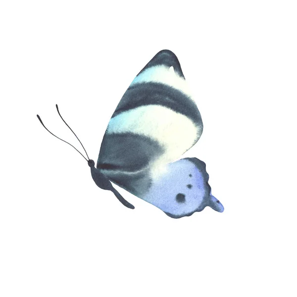 Μπλε ακουαρέλας πεταλούδα που απομονώνονται σε λευκό φόντο. — Φωτογραφία Αρχείου