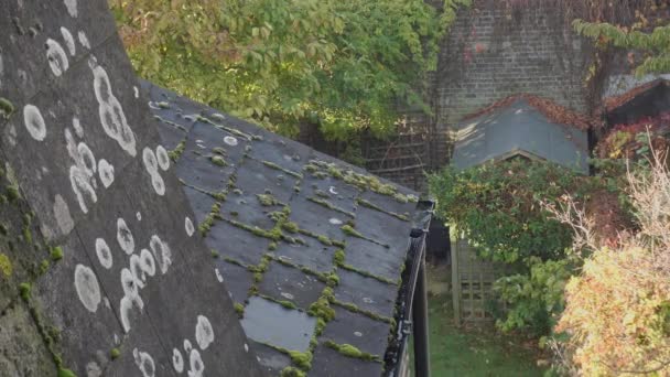 Musgo verde y algas en tejas de pizarra de un edificio residencial en Inglaterra — Vídeos de Stock