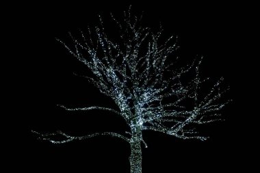 Christmas lights display at night in Kew Gardens, London, UK clipart
