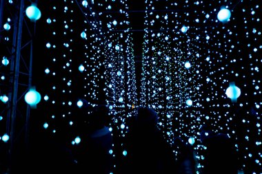 Noel ışıkları gece Kew Gardens, Londra, Uk 'ta sergilenir.