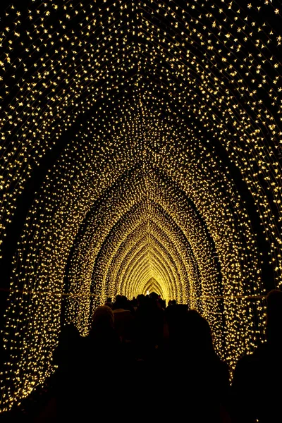 Affichage des lumières de Noël la nuit à Kew Gardens, Londres, Royaume-Uni — Photo