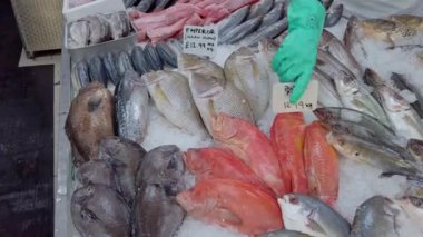 Bir Uk balıkçısında sergilenen buzda balık çeşitleri.