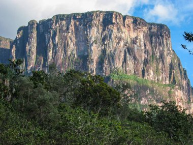 Canaima Ulusal Parkı, Venezuela 'daki etkileyici bir masa üstü dağı.