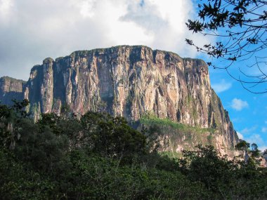 Canaima Ulusal Parkı, Venezuela 'daki etkileyici bir masa üstü dağı.