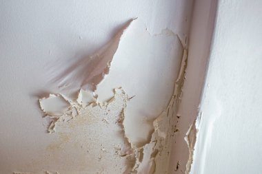 Peeling bathroom ceiling paint