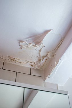 Peeling bathroom ceiling paint