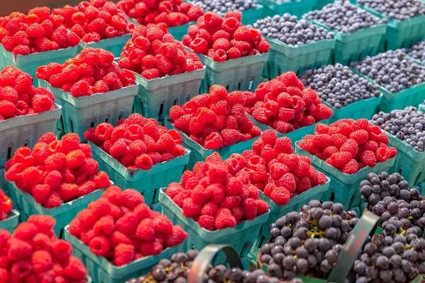 Fruta fresca para venda em uma banca de mercado — Fotografia de Stock