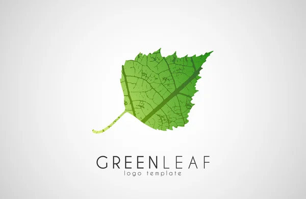 녹색 잎 상징 로고입니다. 창의적인 생태 로고 디자인 — 스톡 벡터