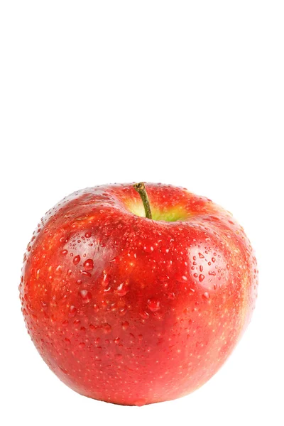 Jedno čerstvé červené jablko — Stock fotografie