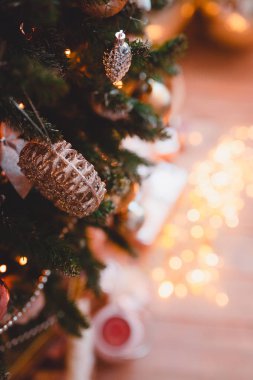 Noel ağacı portre. Üstten Görünüm