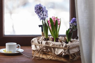 bir sabah kahve ya da çay