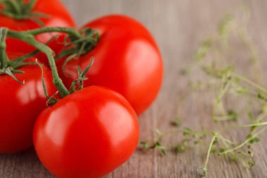 taze kırmızı domates yeşil kök ile