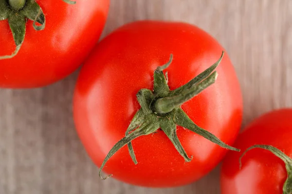 Čerstvá červená rajčata zelená nať — Stock fotografie