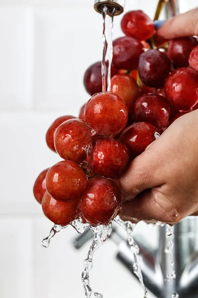 The girl washes a bunch of red grapes in her hands — Stock Photo, Image