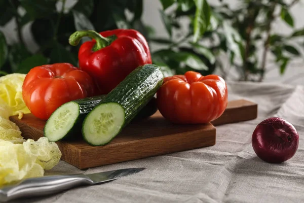 Čerstvá zelenina rajčaty, okurkou, paprikou a červenou cibulí na prkně — Stock fotografie