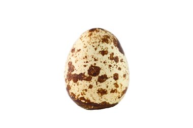 bir küçük bıldırcın yumurtası. İzole. Beyaz arka plan