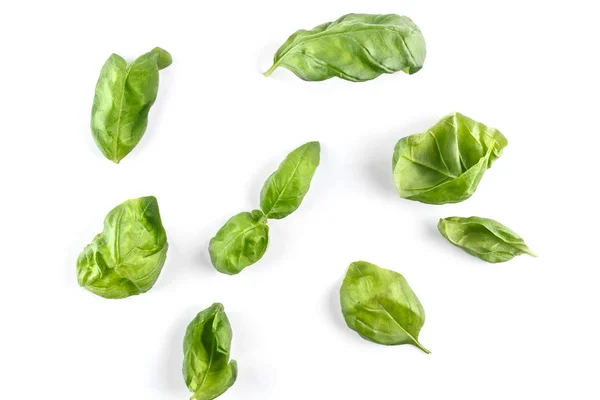 Hojas de albahaca aisladas sobre fondo blanco. Vista superior. Puesta plana — Foto de Stock