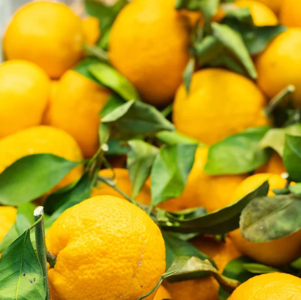 Piyasada taze mandalina satışları