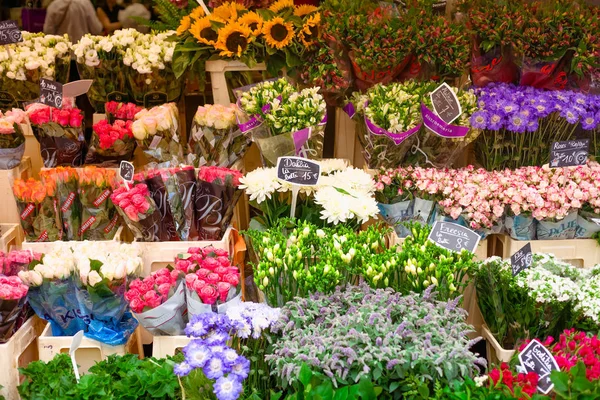Flower shop. Different colors Stock Photo