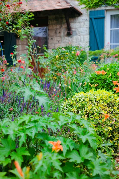 Giverny. Frankreich. Blumen in Monets Garten. Spaziergang durch das Monet-Museum — Stockfoto