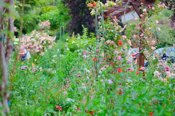Giverny. Frankreich. Claude Monets Garten. Blumen in Monets Garten. Spaziergang durch das Monet-Museum — Stockfoto