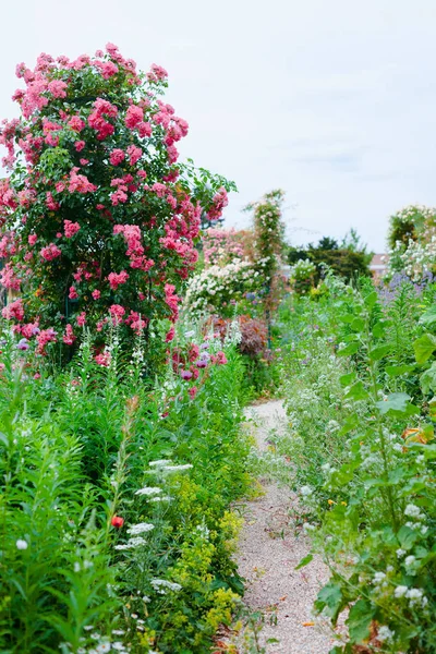 Giverny. Frankreich. Claude Monets Garten. Blumen in Monets Garten. Spaziergang durch das Monet-Museum — Stockfoto