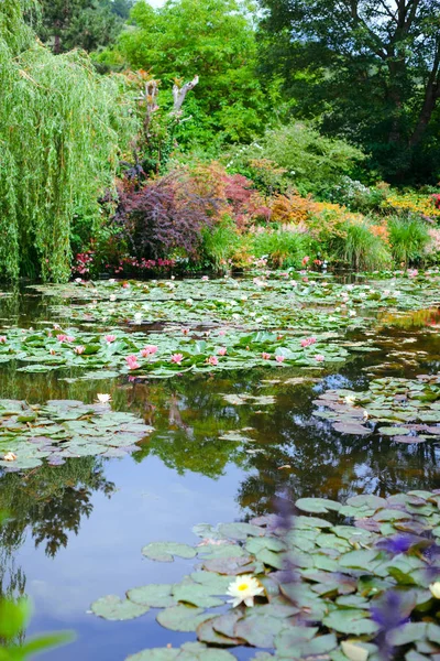 Giverny. França. Jardim de Claude Monet. Lagoa com lírios de água — Fotografia de Stock