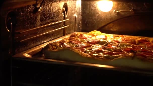 Ost Pizza Smälter Ugnsvärme Smaklig Italiensk Pizza Salami Och Ost — Stockvideo