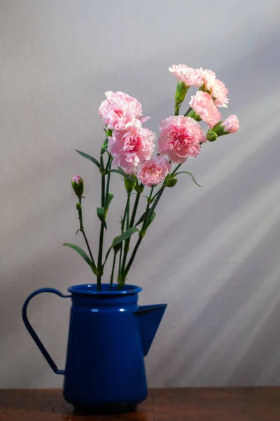 도살아 햇살에 분홍빛 카네이션 꽃다발 로열티 프리 스톡 이미지