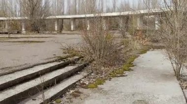 Dışlama bölgesi. Pripyat merkezi kare çalılar ve ağaçlar ile büyümüş. 6 Nisan 2017