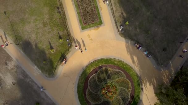 La gente cammina nel parco. Zona di riposo in città. Vista aerea — Video Stock