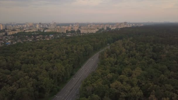 Les voitures roulent le long d'une route située parmi les arbres verts près de la ligne de la ville. Vue aérienne 