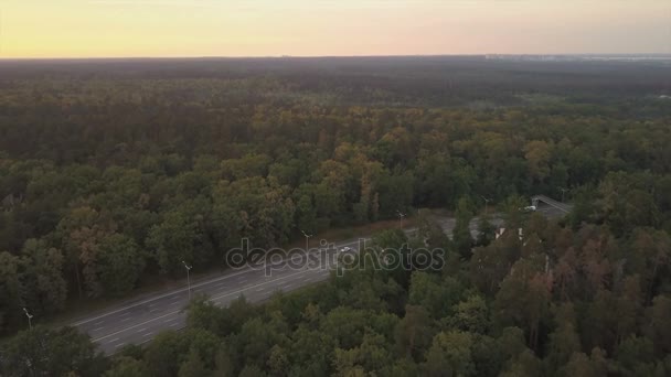 Автомобілі їздять по дорозі, розташованій серед зелених дерев. Вид з повітря — стокове відео