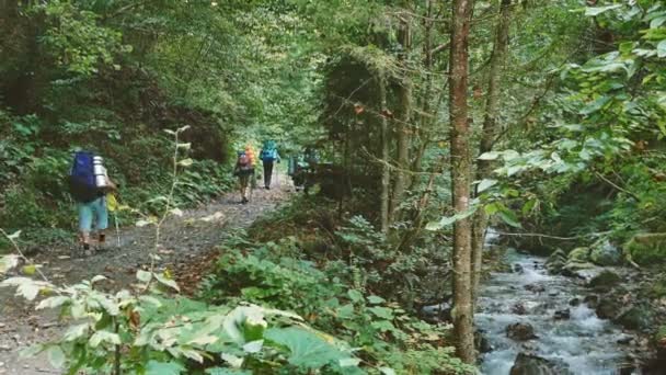 Turister som vandring i skogen av mountians med backbags — Stockvideo
