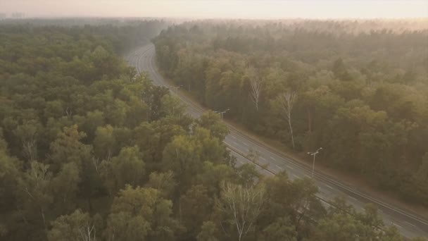 Автомобілі їздять по дорозі. Ліс на заході сонця оточений туманом. Камера рухається вперед. Вид з повітря — стокове відео