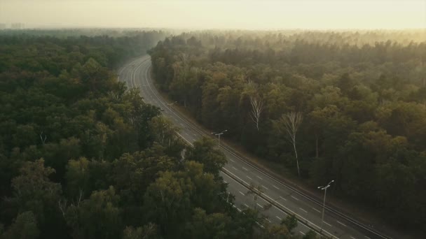 Autók vezetői az út mentén. Az erdő, a naplemente van burkolva, a ködben. A kamera halad előre. Légifelvételek — Stock videók