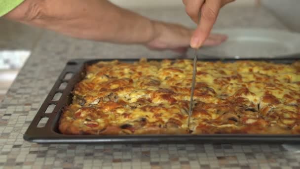 La mujer corta la pizza terminada en trozos y la coloca en platos. Las manos de cerca — Vídeos de Stock