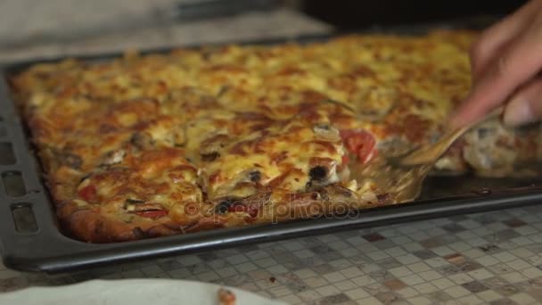 Kadın bitmiş pizza parçalar halinde keser ve Tabaklarda yerleştirir. Eller yakın çekim — Stok video