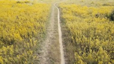 Çayır sarı çim ile çalışan toprak yol sağa döner
