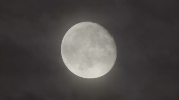 The moon in the cloudy sky. Close-up — Stock Video