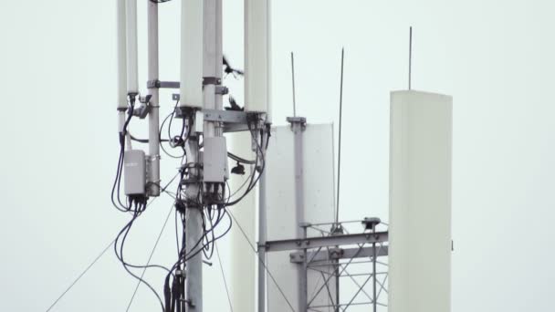 Telekommunikationsantenne im Hintergrund eines bewölkten Himmels. Vögel schweben in der Nähe der Antenne. Nahaufnahme — Stockvideo