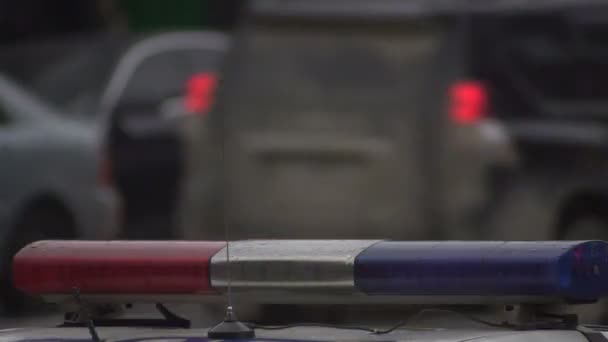Ein Polizeiauto mit eingeschaltetem Blinker sorgt für den Schutz der Ordnung an Ort und Stelle einer Massenkundgebung. rote und blaue Lichter blinken. Im Hintergrund laufen Menschen und Autos. Nahaufnahme — Stockvideo