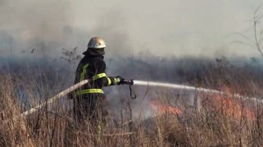 İtfaiyeci şehrin yakınlarında bir orman yangınını söndürdü. Çalıların ve ağaçların arasında dumanla yanan çimenler. Hava kirliliği ve ekoloji. Kuraklık ve iklim değişikliğinin yol açtığı yangınlar. Kundakçılık Çimi. İtfaiyeciler 