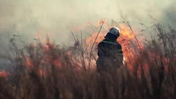 Brandweerman Blust Een Bosbrand Bij Stad Gras Verbranden Met Rook — Stockvideo