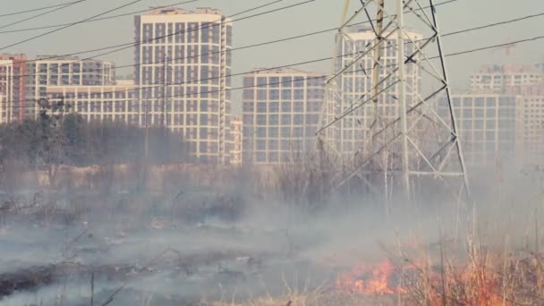 Waldbrand mit Rauch in der Nähe der Stadt. Brennendes Gras zwischen Strommasten vor dem Hintergrund von Gebäuden und Häusern. Luftverschmutzung und Ökologie. Brände durch Dürre und Klimawandel