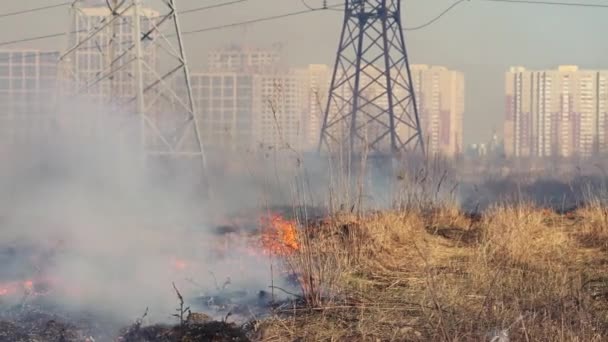 城市附近有烟的森林大火 在建筑物和房屋的背景下 在电线杆之间焚烧青草 空气污染和生态 干旱和气候变化引起的火灾 — 图库视频影像