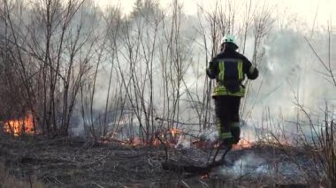 İtfaiyeci şehrin yakınlarında bir orman yangınını söndürdü. Çalıların ve ağaçların arasında dumanla yanan çimenler. Hava kirliliği ve ekoloji. Kuraklık ve iklim değişikliğinin yol açtığı yangınlar. Kundakçılık Çimi. İtfaiyeciler 