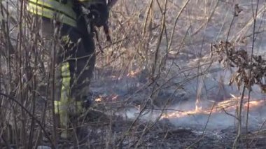 İtfaiyeci şehrin yakınlarında bir orman yangınını söndürdü. Çalıların ve ağaçların arasında dumanla yanan çimenler. Hava kirliliği ve ekoloji. Kuraklık ve iklim değişikliğinin yol açtığı yangınlar. Kundakçılık Çimi. İtfaiyeciler 