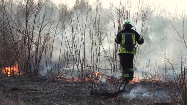 消防士は街の近くで森林火災を出す 茂みや木の間で煙で草を燃やす 大気汚染と生態学 干ばつや気候変動による火災 アーソン グラス 消防士 — ストック動画