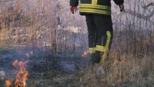 Brandman Släcker Skogsbrand Nära Staden Bränner Gräs Med Rök Bland — Stockvideo